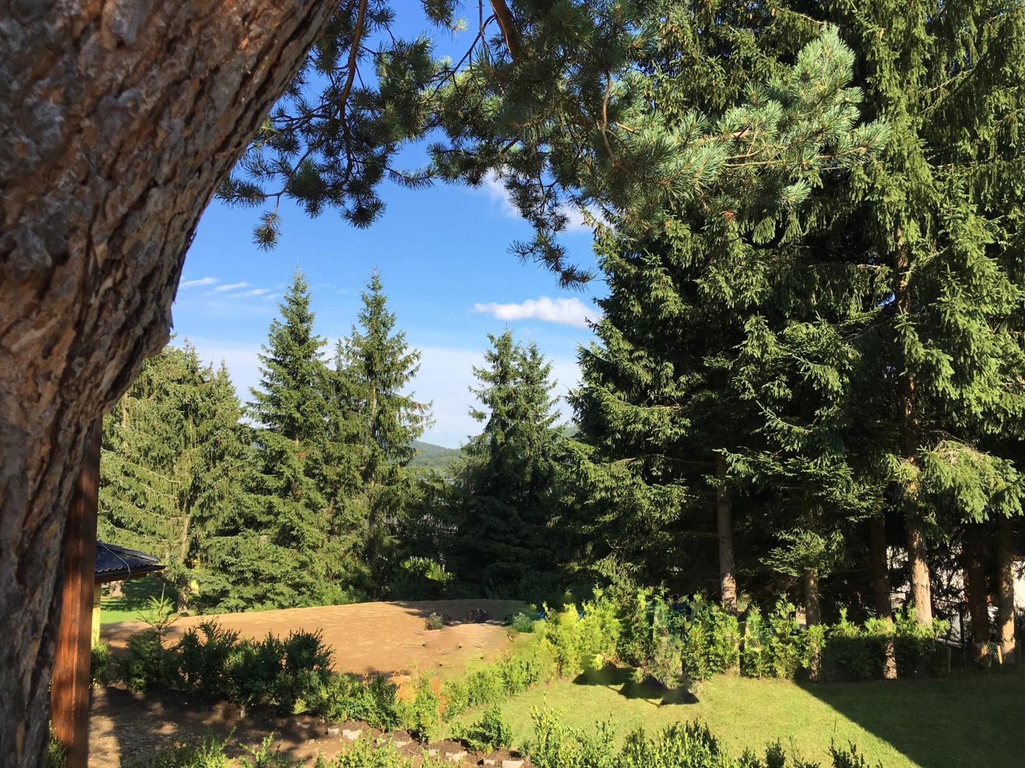 Apartmany Pinie Lipno Lipno nad Vltavou Chambre photo