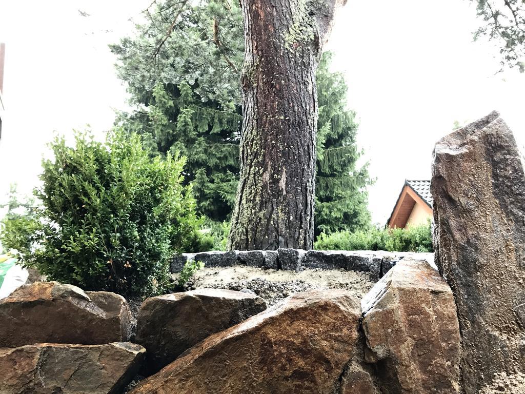 Apartmany Pinie Lipno Lipno nad Vltavou Extérieur photo
